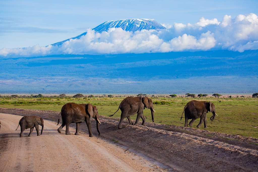 Amboseli Serena Safari Lodge المرافق الصورة