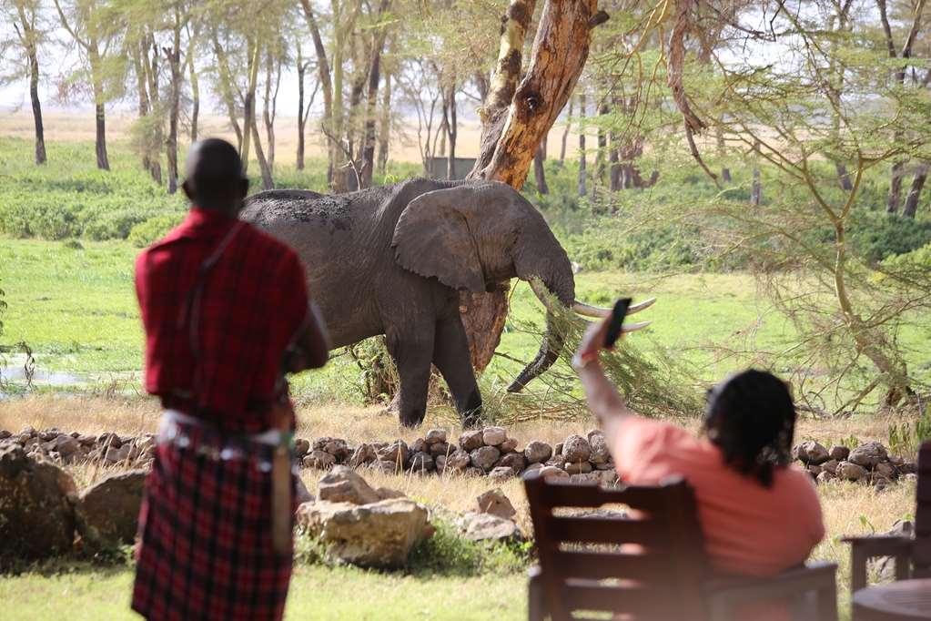 Amboseli Serena Safari Lodge المرافق الصورة