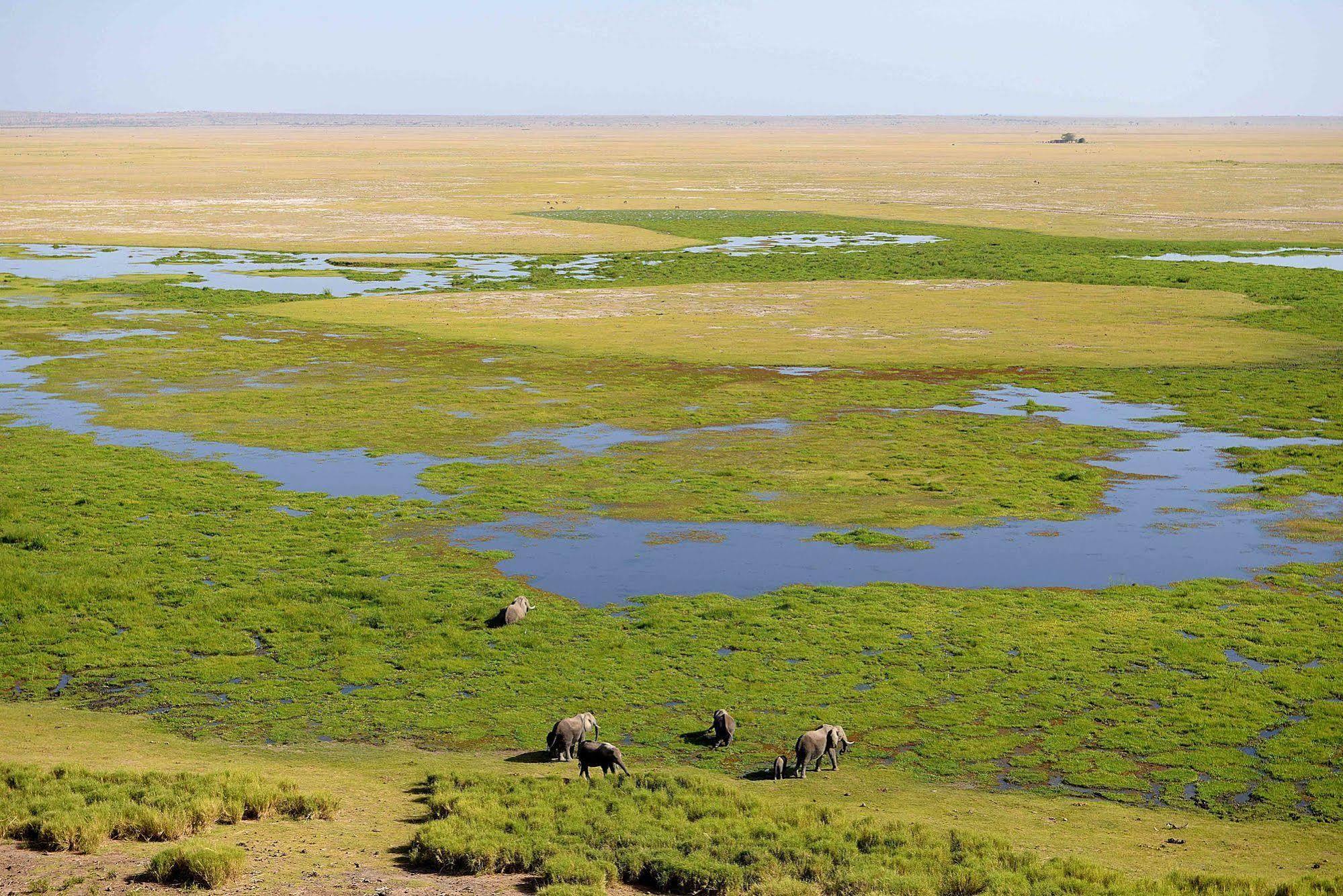 Amboseli Serena Safari Lodge المظهر الخارجي الصورة